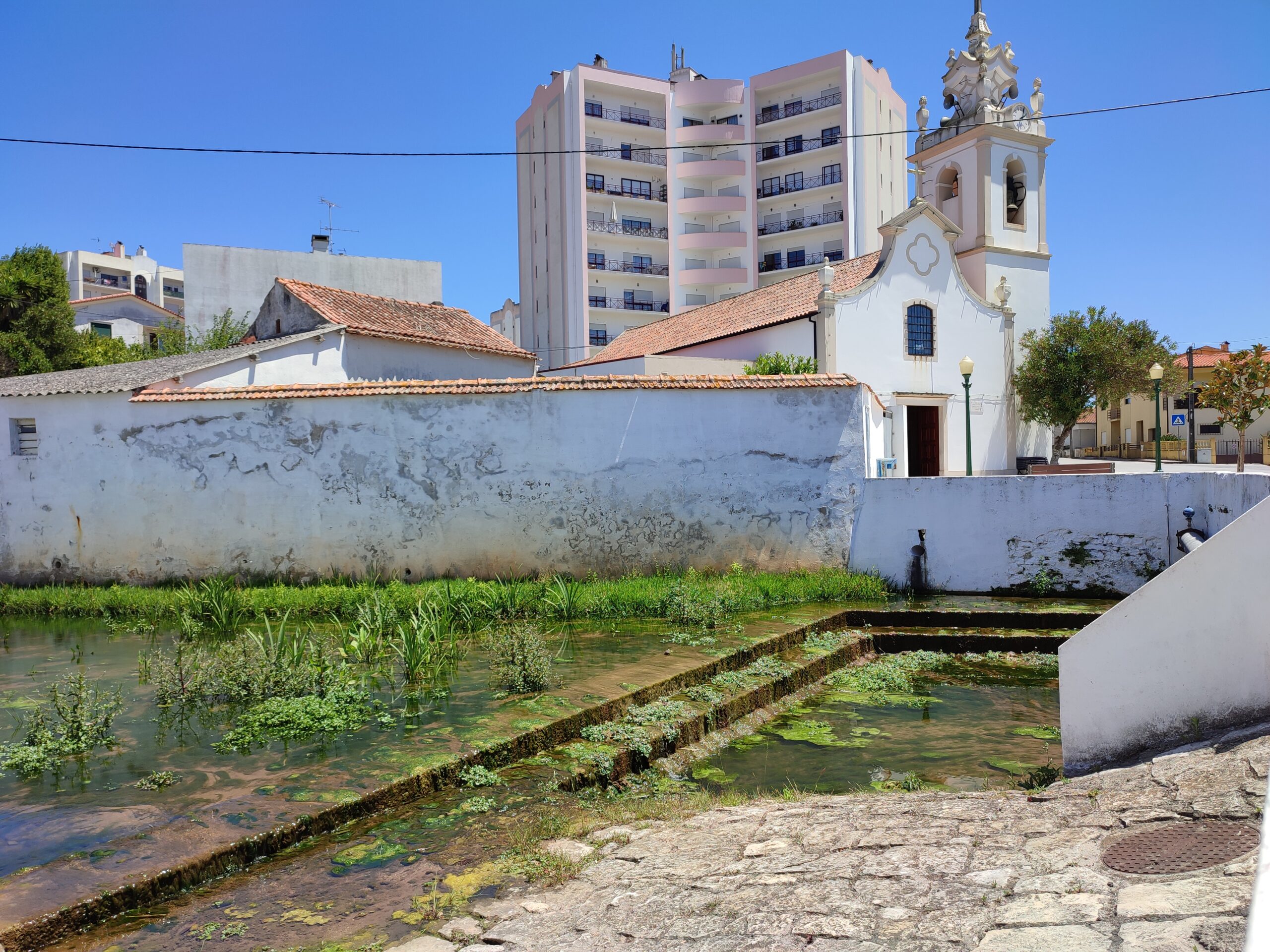 Ribeiro de Tavarede