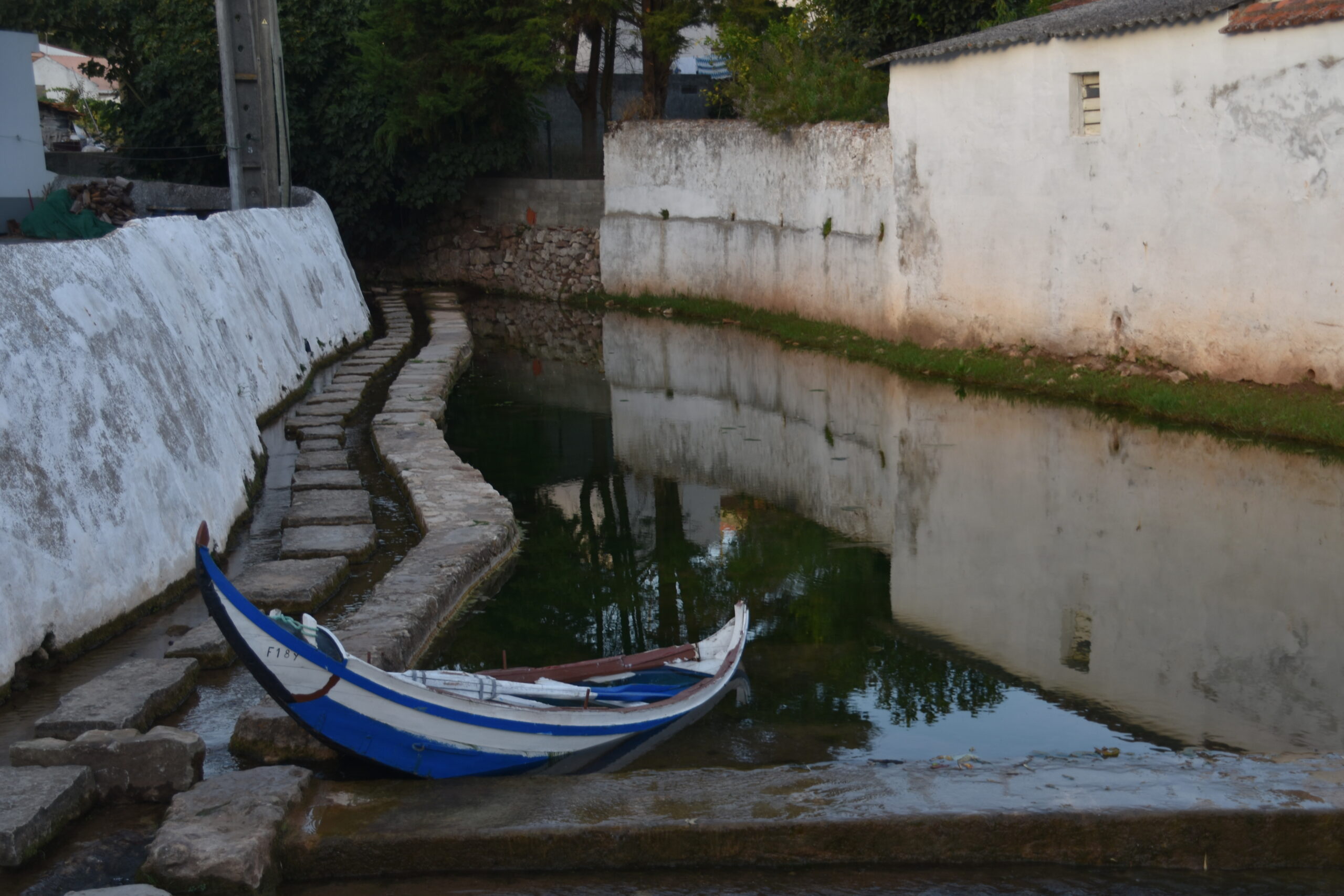 Ribeiro de Tavarede